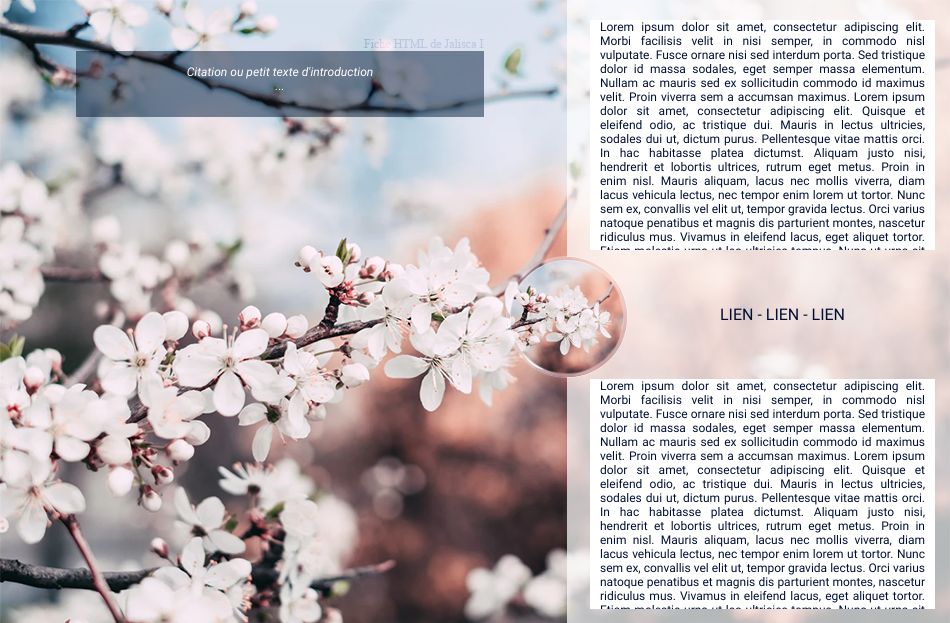 Fiche simple, par Galad-El