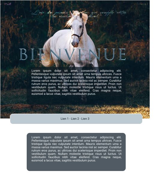 Fiche cheval, par Galad-El