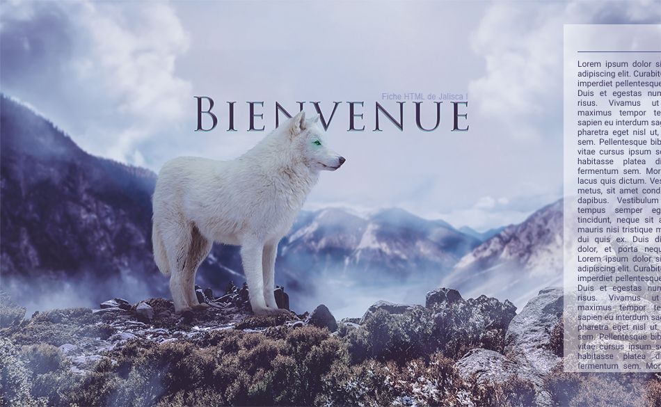 Fiche Equideow, par Galad-El