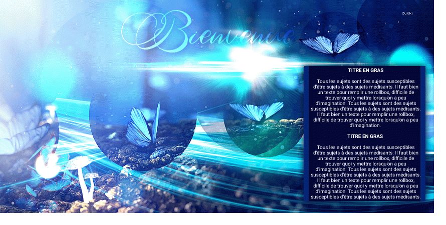 Fiche Papillon, par Zukki