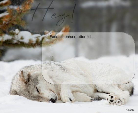 Commande fiche HTML, par Ollash