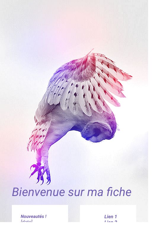 Chouette, par Shinohara