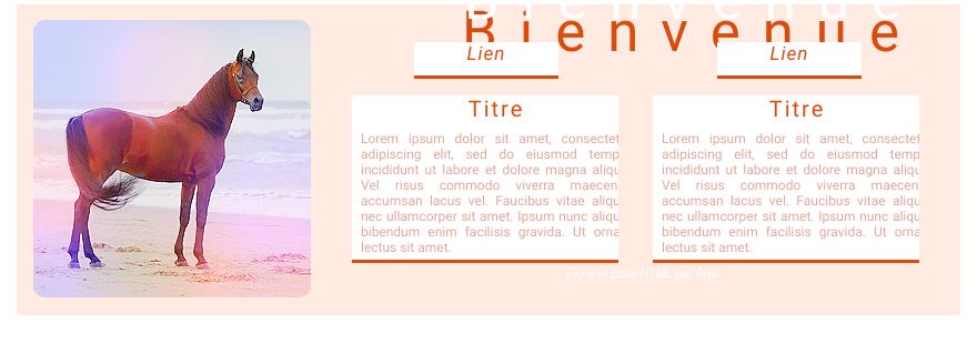 Cheval.2, par Shinohara