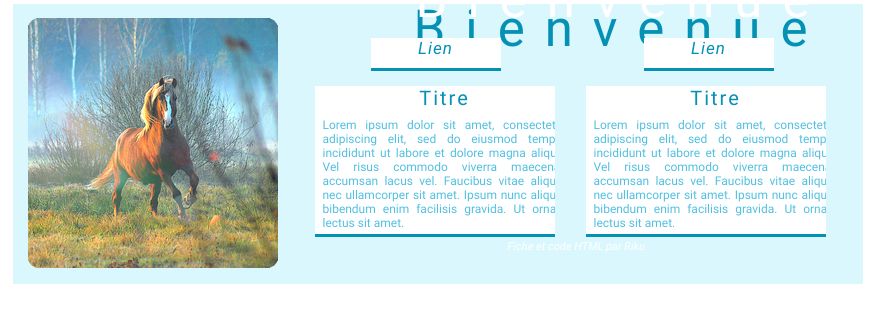 Cheval.3, par Shinohara