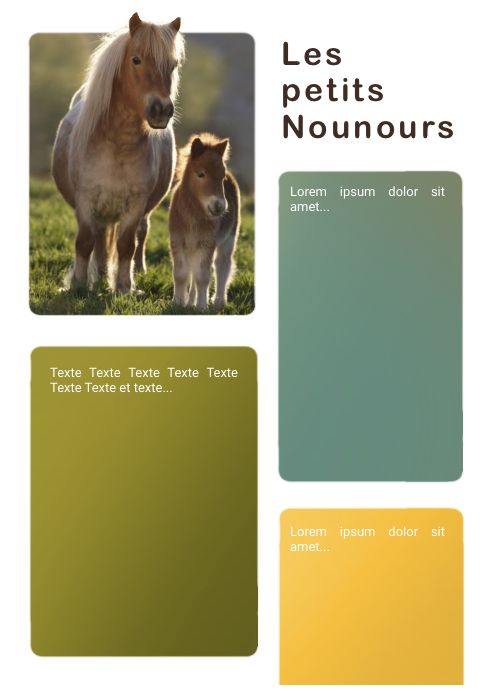 Fiche équipe equi, par CHAUSSETTE