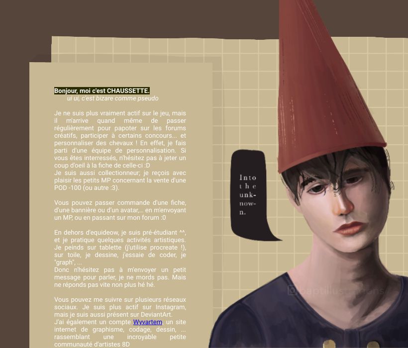 Fiche equideow perso, par CHAUSSETTE