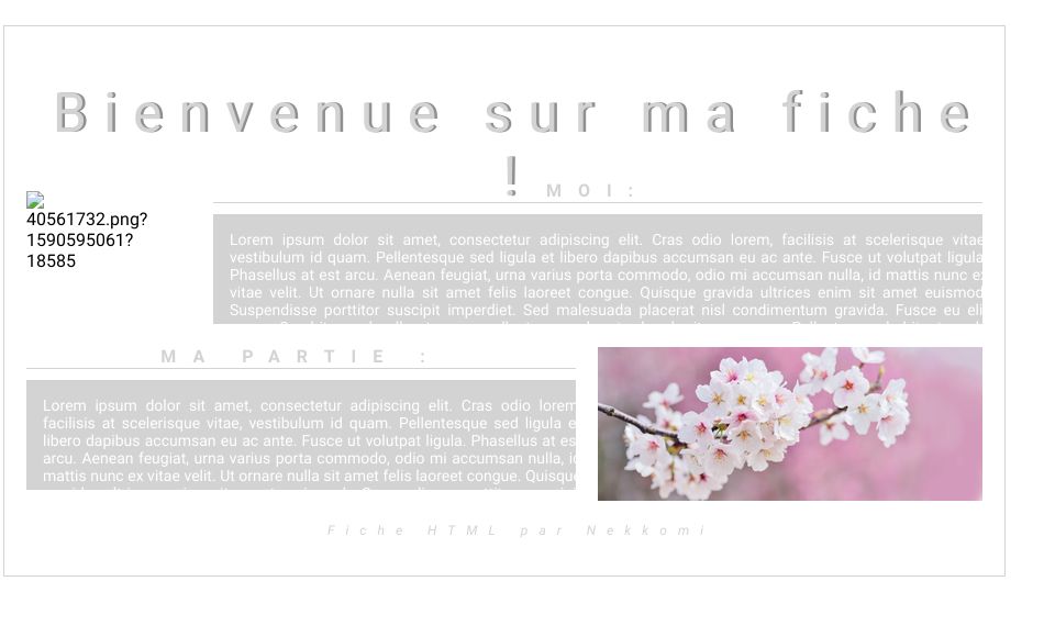 Fiche Equideow -- Gris et Fleurs de cerisier, par Nekkomi