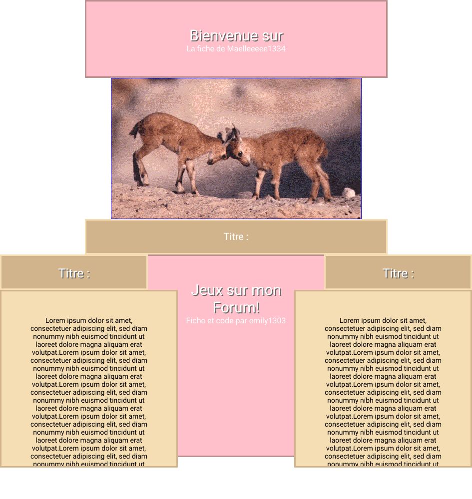 Commande de Maelle, par emily1303