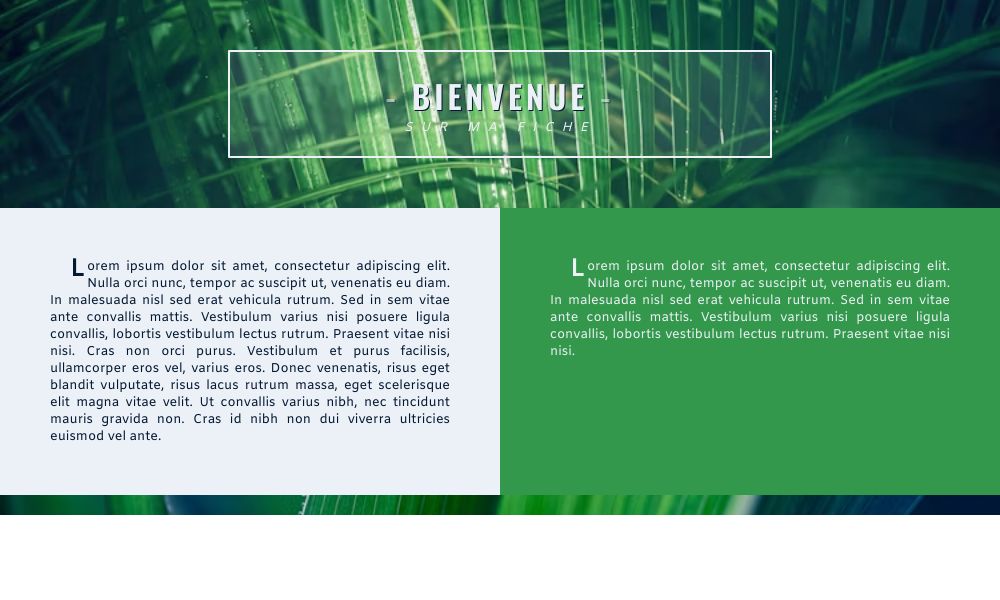 [LS] Fiche verte, par Galad-El