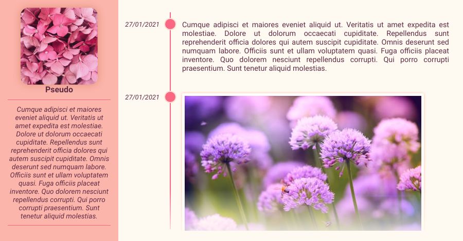 Fiche rose, par Galad-El