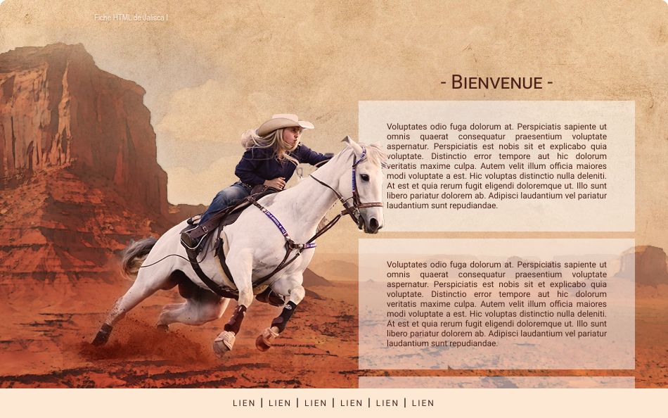 Commande Western Vintage, par Galad-El