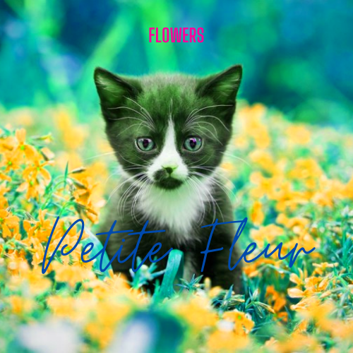 Avatar de Petite Fleur