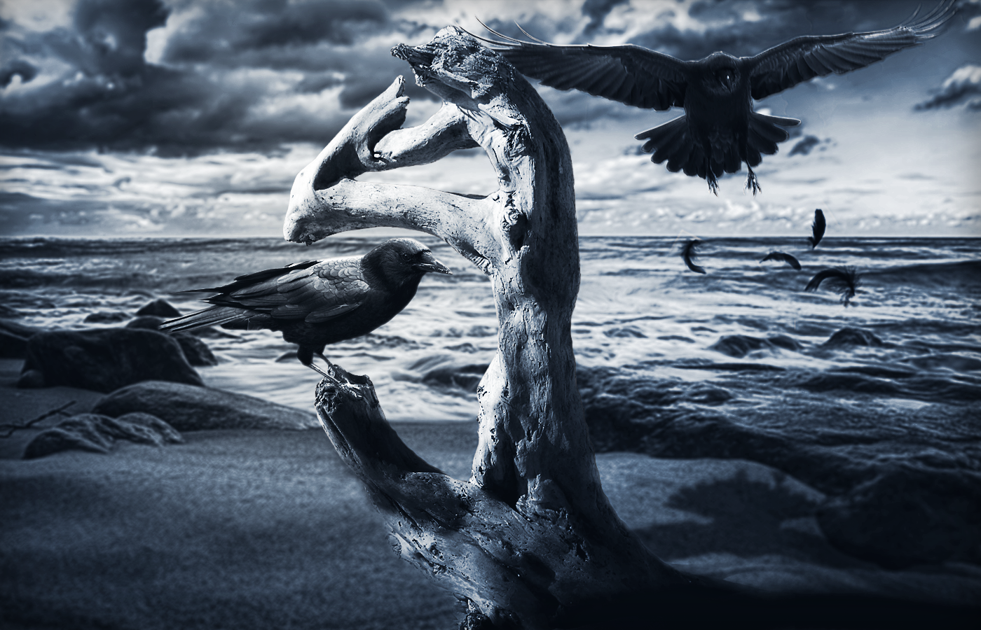 Vol de corbeaux, par Tamara