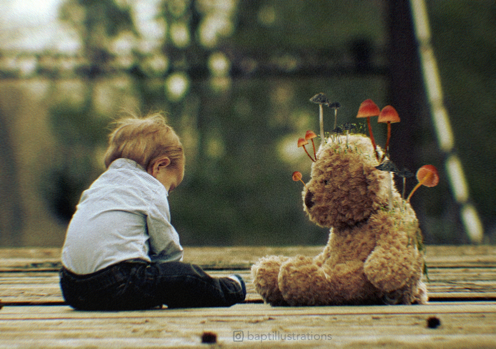 Photomontage champignons, par CHAUSSETTE
