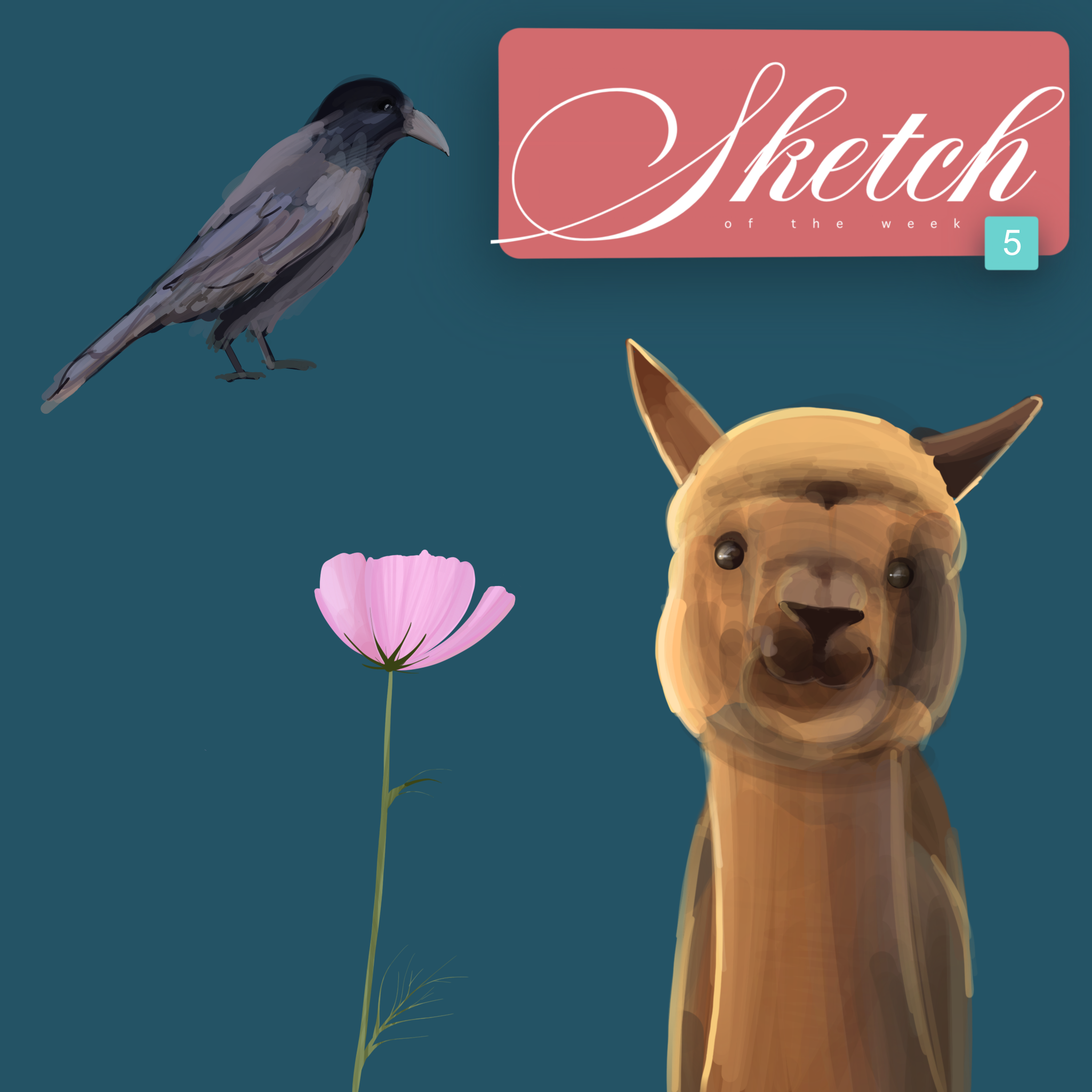 Sketch of the week 5, par CHAUSSETTE