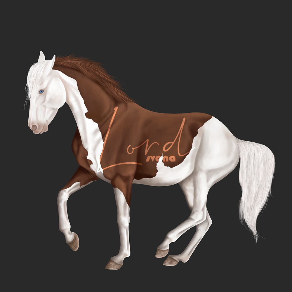 [ FULL BODY ] Paint V2, par Svana