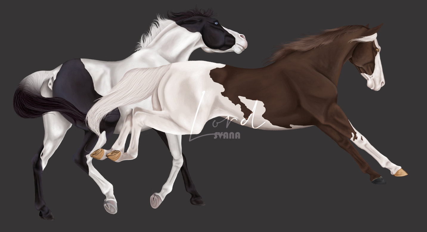 [ FULL BODY ] Narayana & Shulumu, par Svana