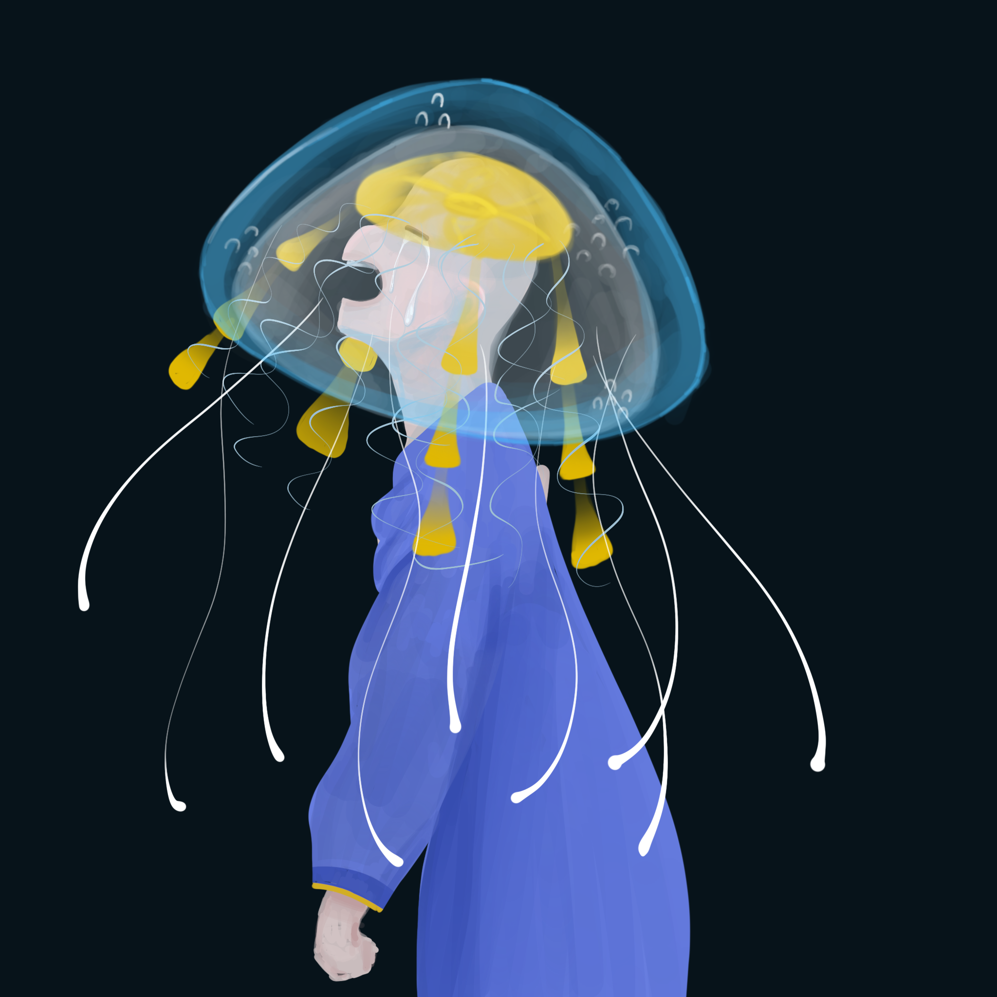 Bikuri, par CHAUSSETTE