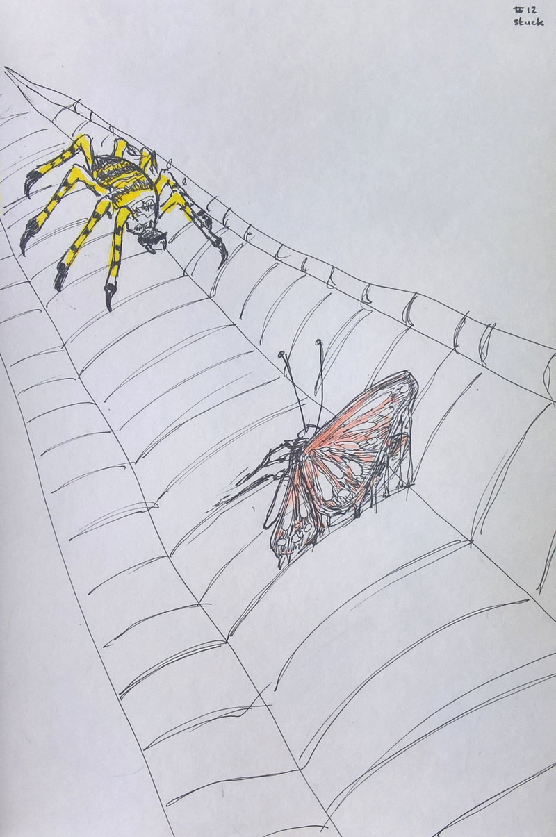 #12 stuck, par Milou