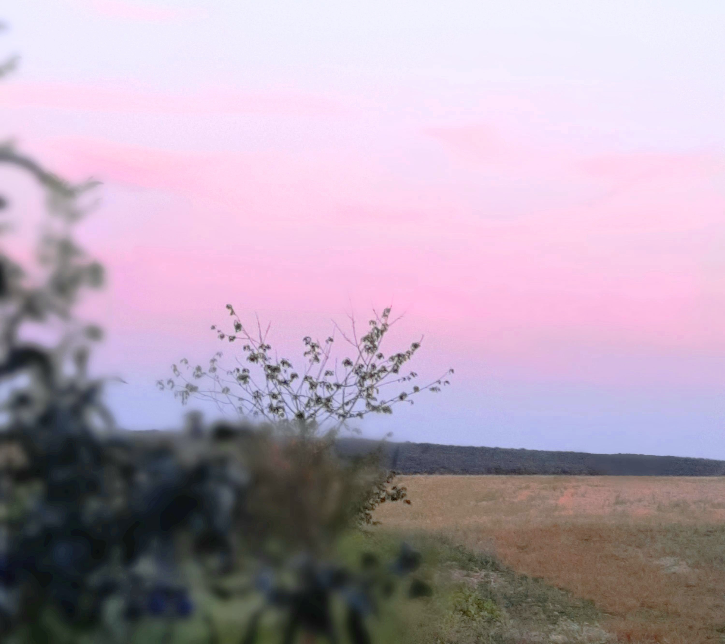 Les couleurs de l'été, par Nekkomi