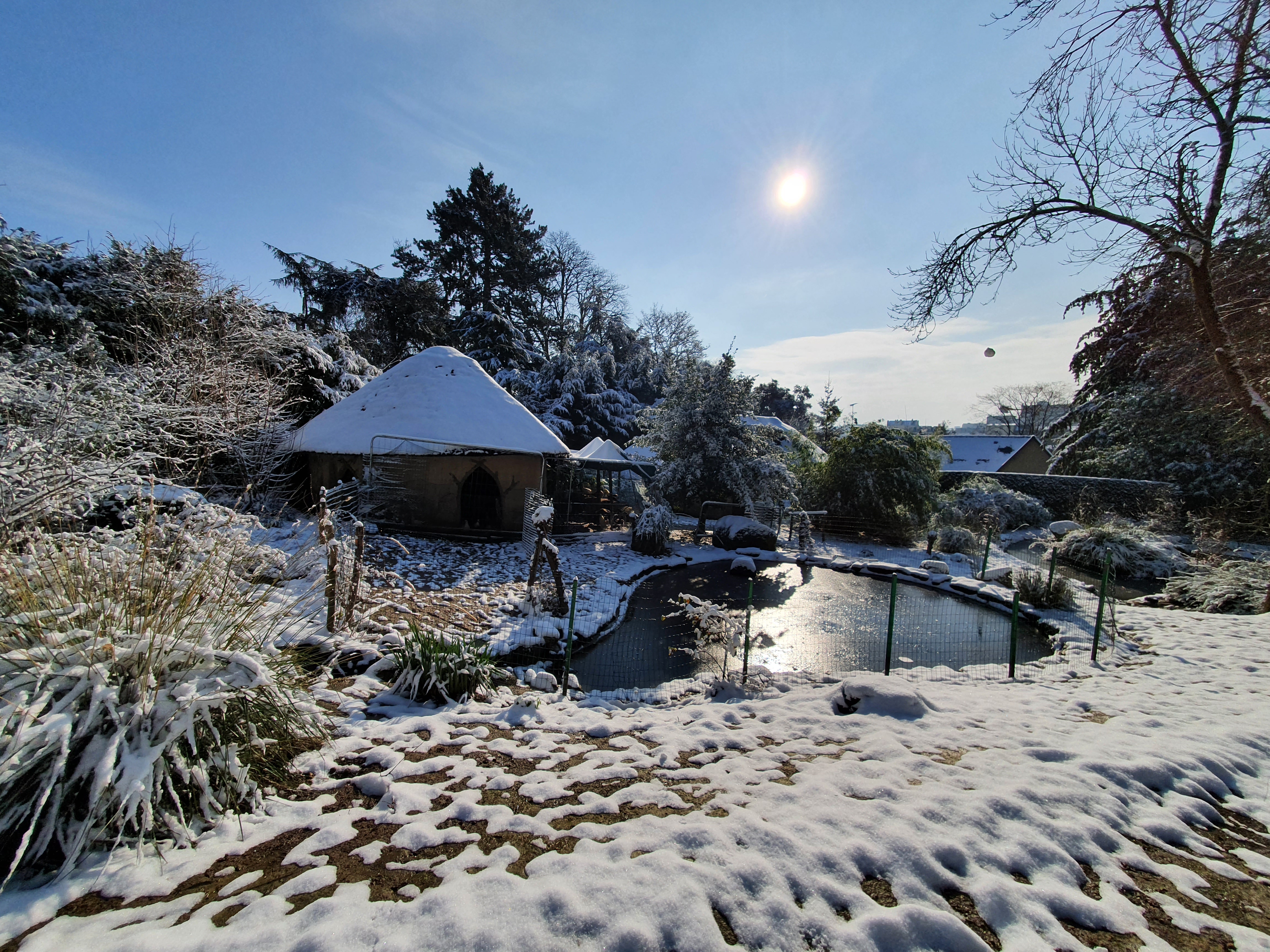 C un poulailler, par Sygea