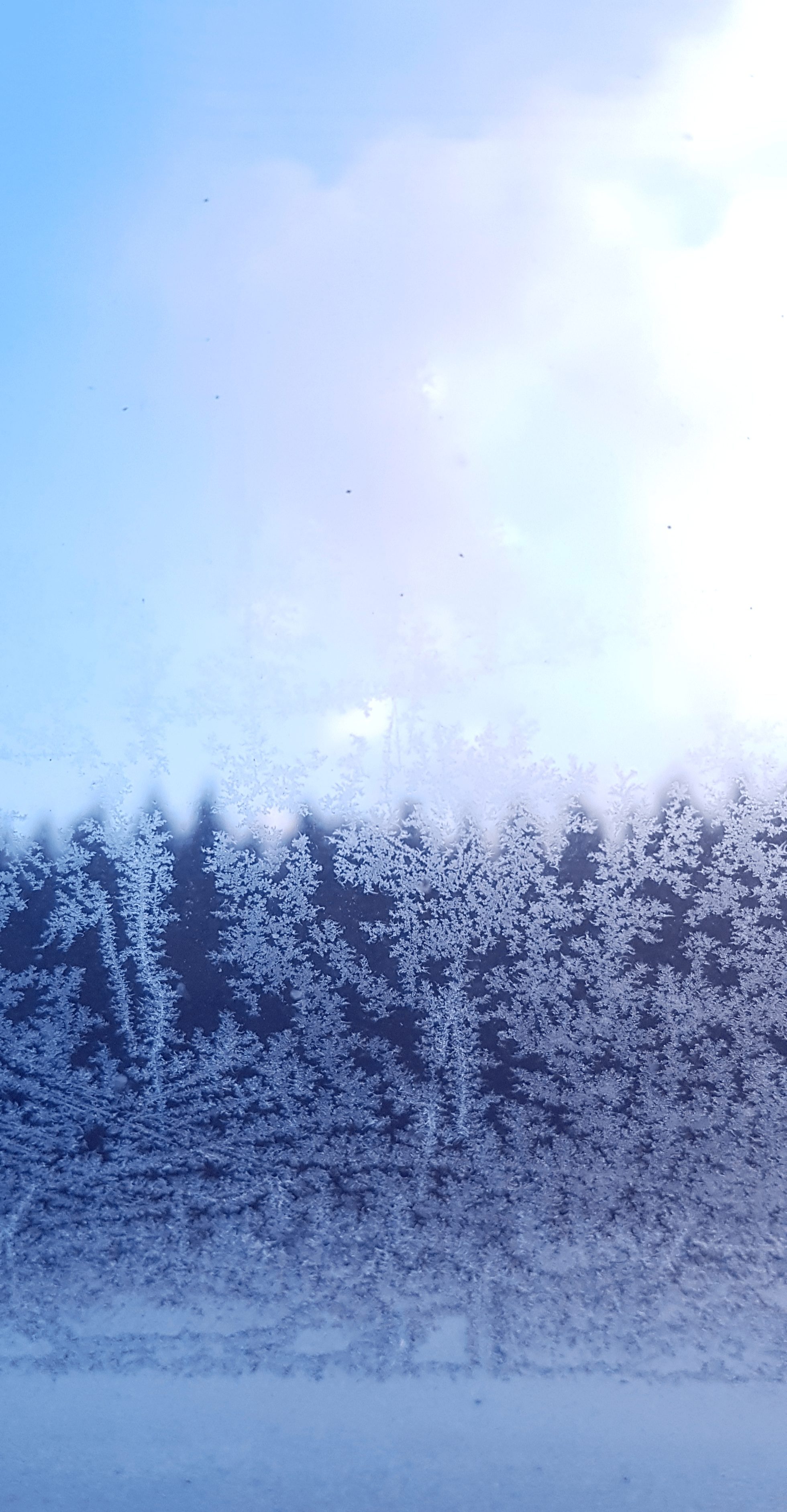 Givre sur verre, par Zukki