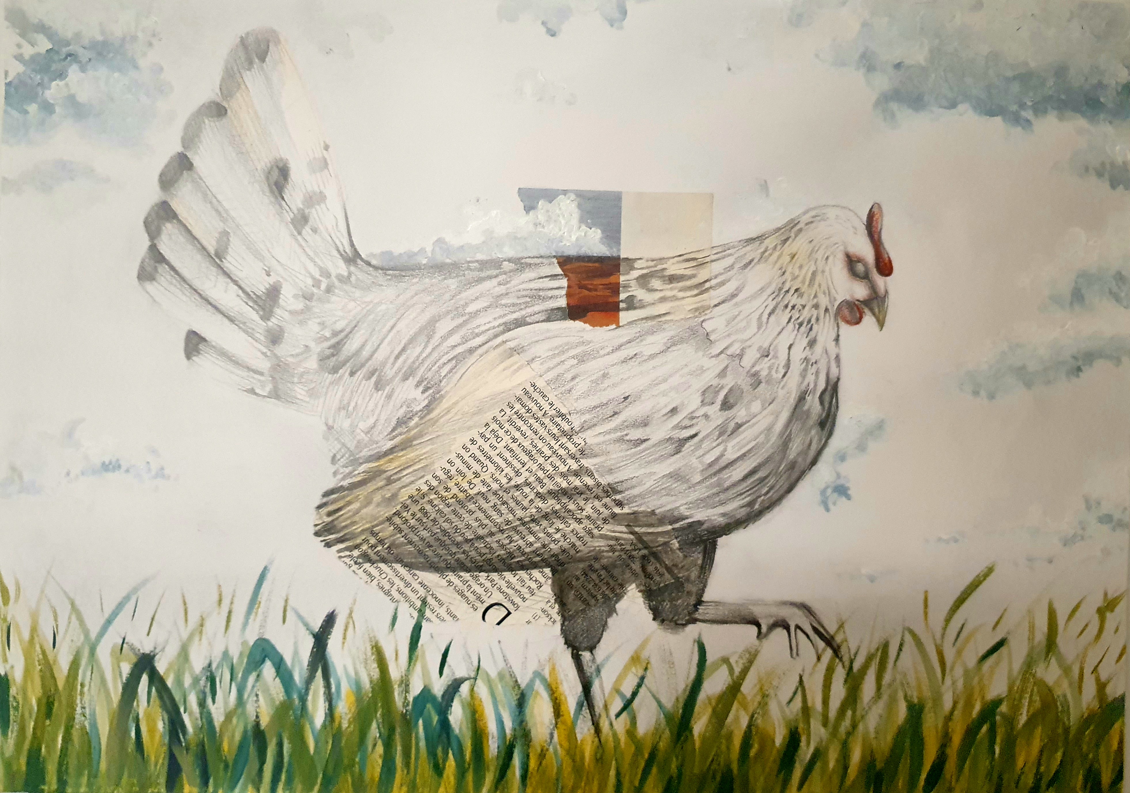 Poulette dans le jardin, par CHAUSSETTE