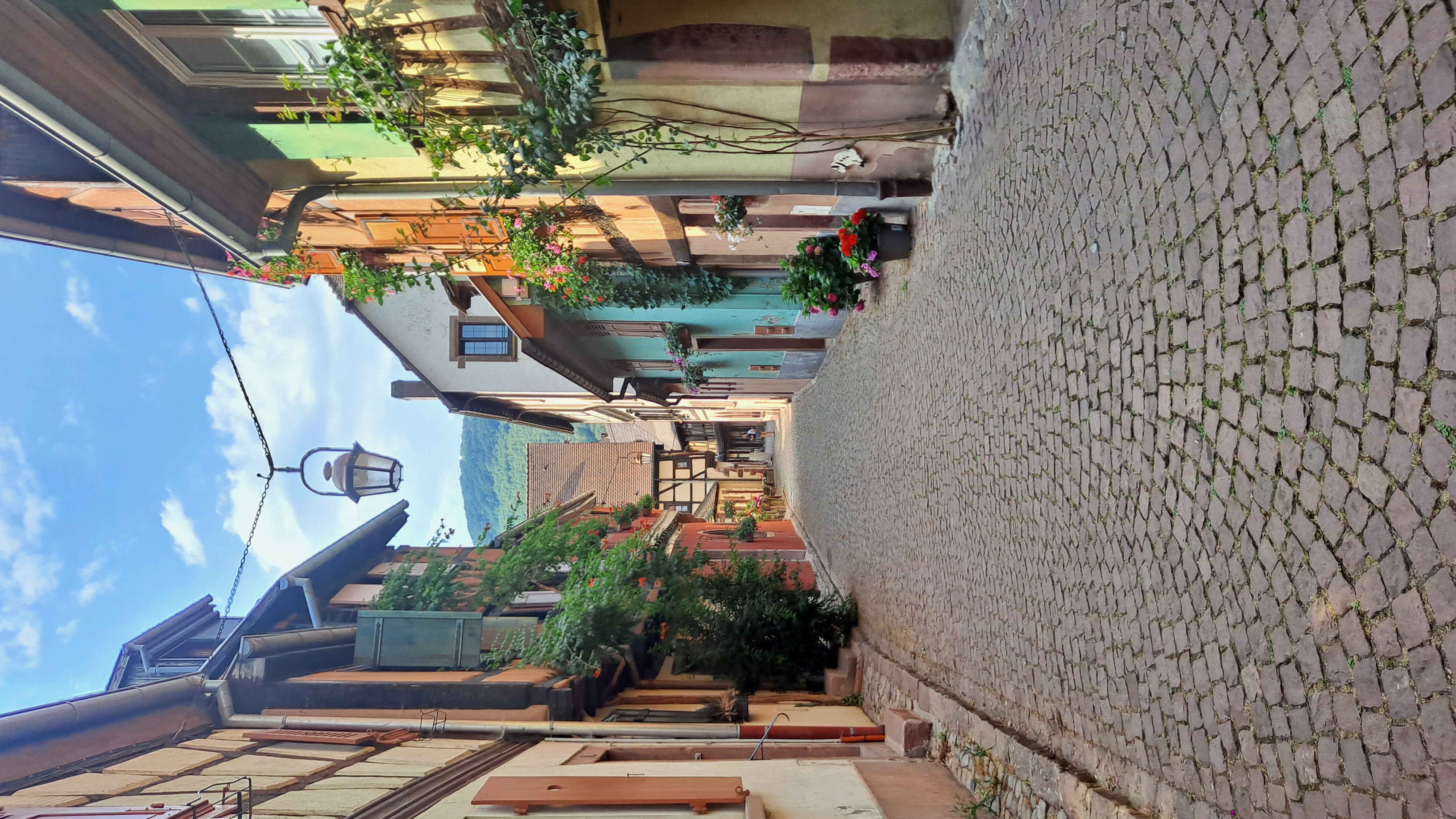 Sur la route de l'Alsace, par Azumii