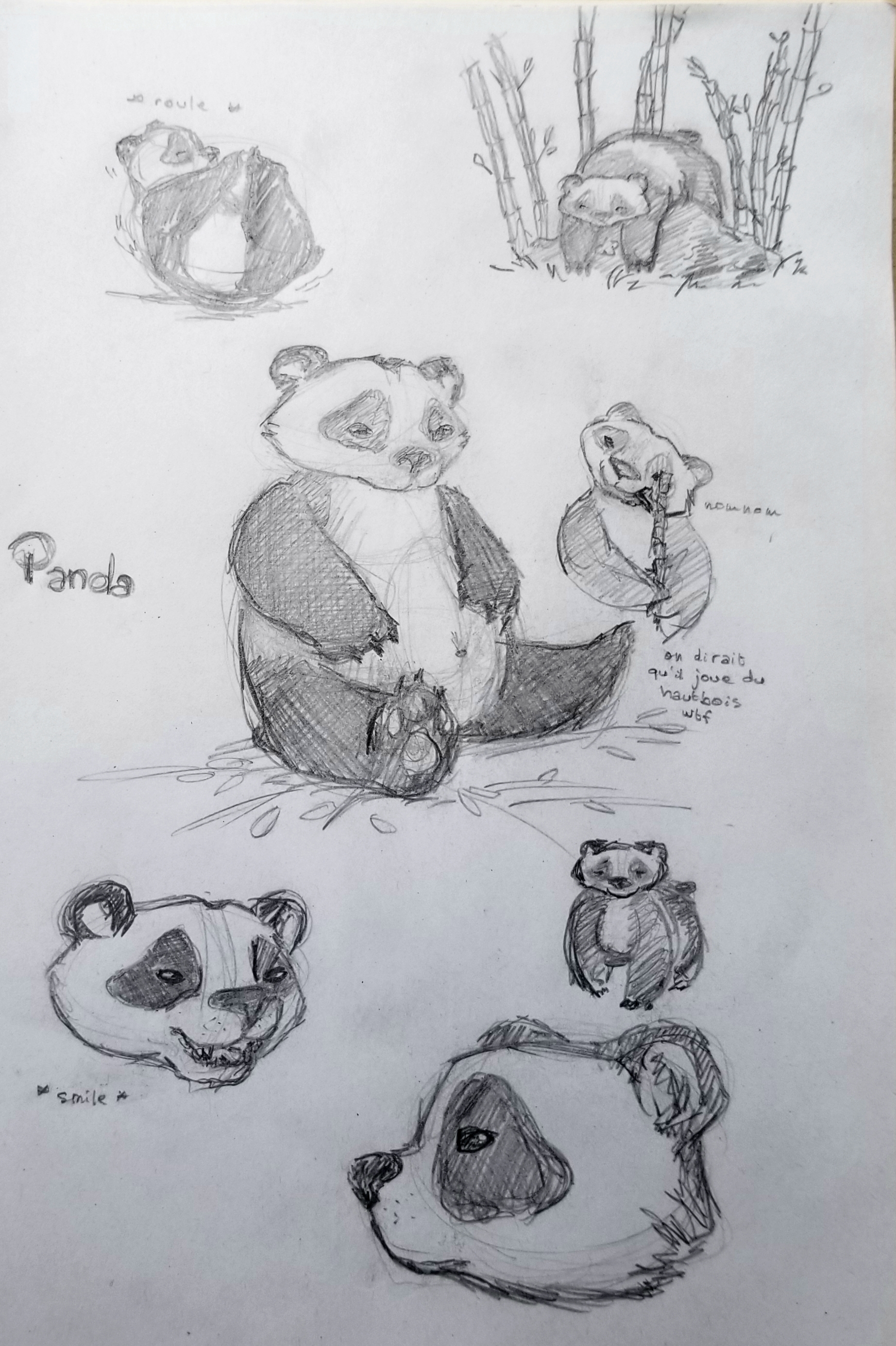 Panda sketch, par Milou