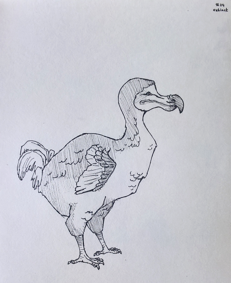 #24 extinct, par Milou