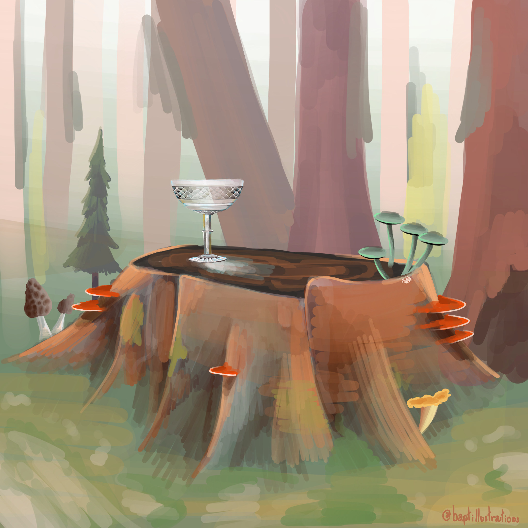 Dans la forêt, par CHAUSSETTE