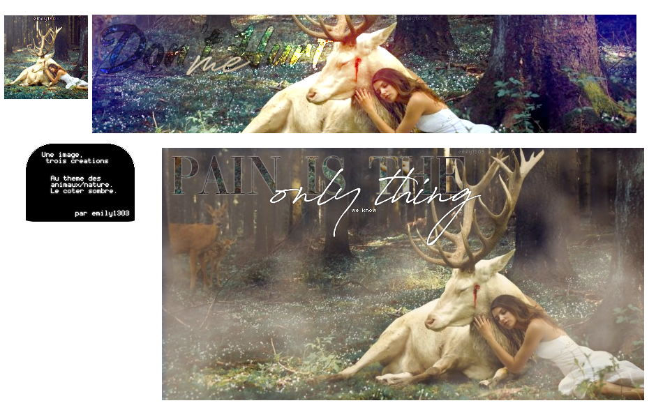 Une image, trois créations, par emily1303