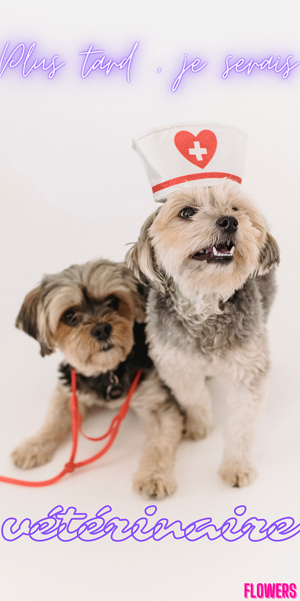 Plus tard , je serais vétérinaire, par Flowers