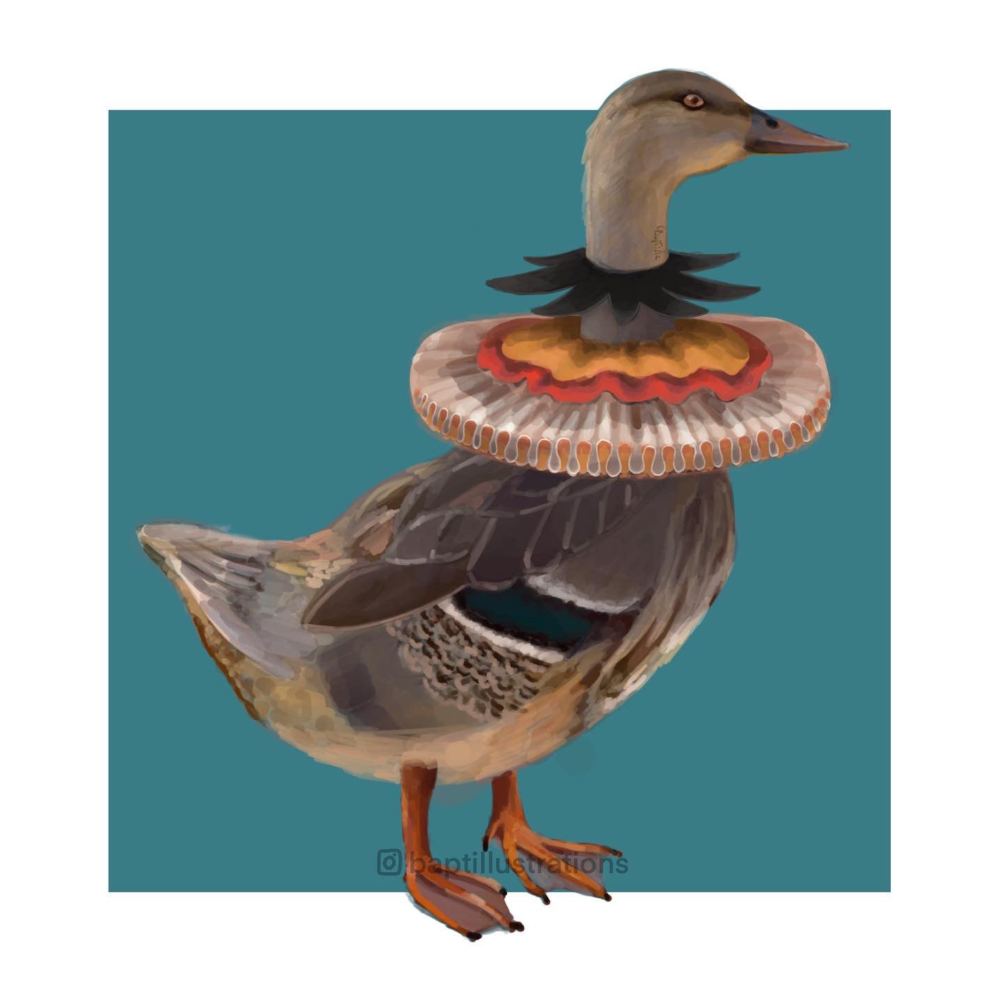 Canne, par CHAUSSETTE