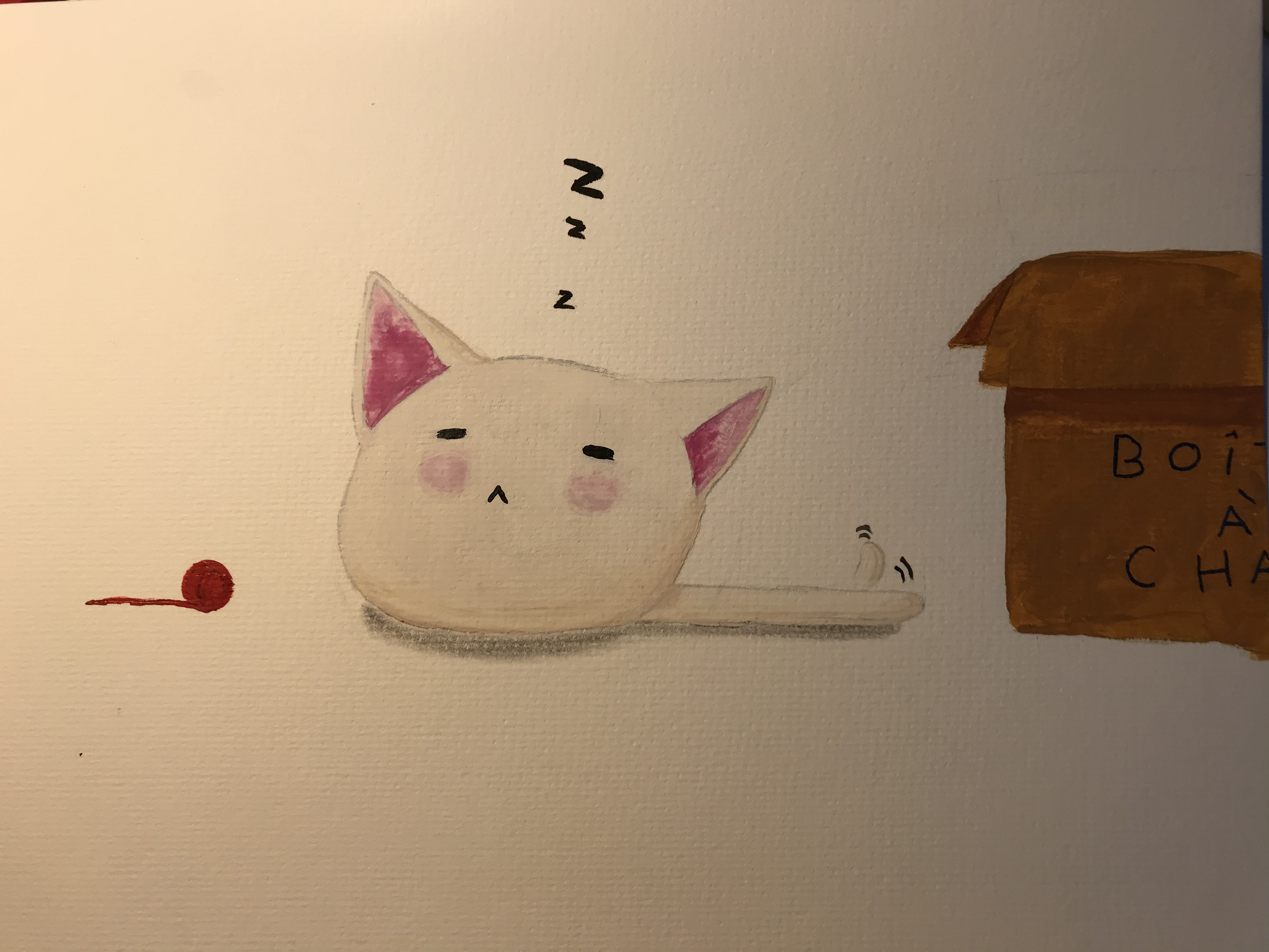 Chat patate, par EmiSai