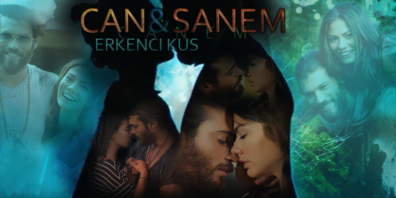 Bannière du Challenge 5, par Fraisy Sarcasm