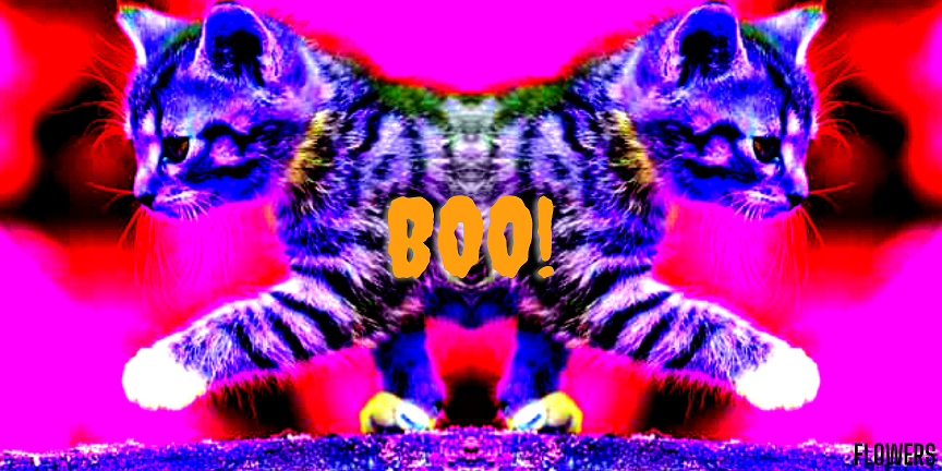 Chat de halloween version mirror (miroir), par Flowers