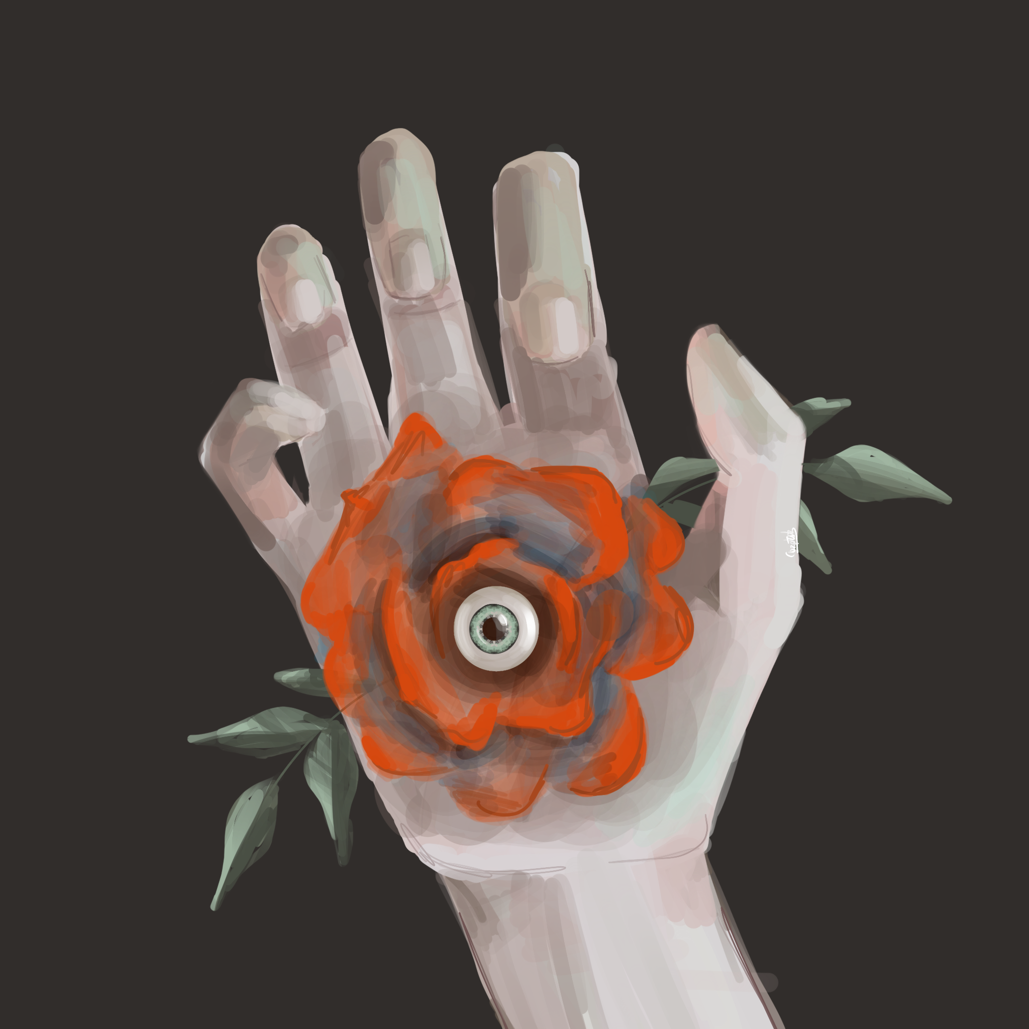 chac, par CHAUSSETTE