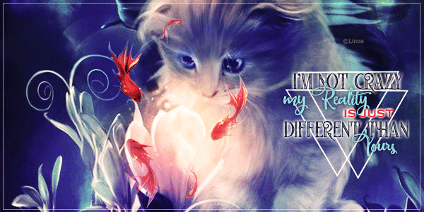 I'm not crazy, par Linoa