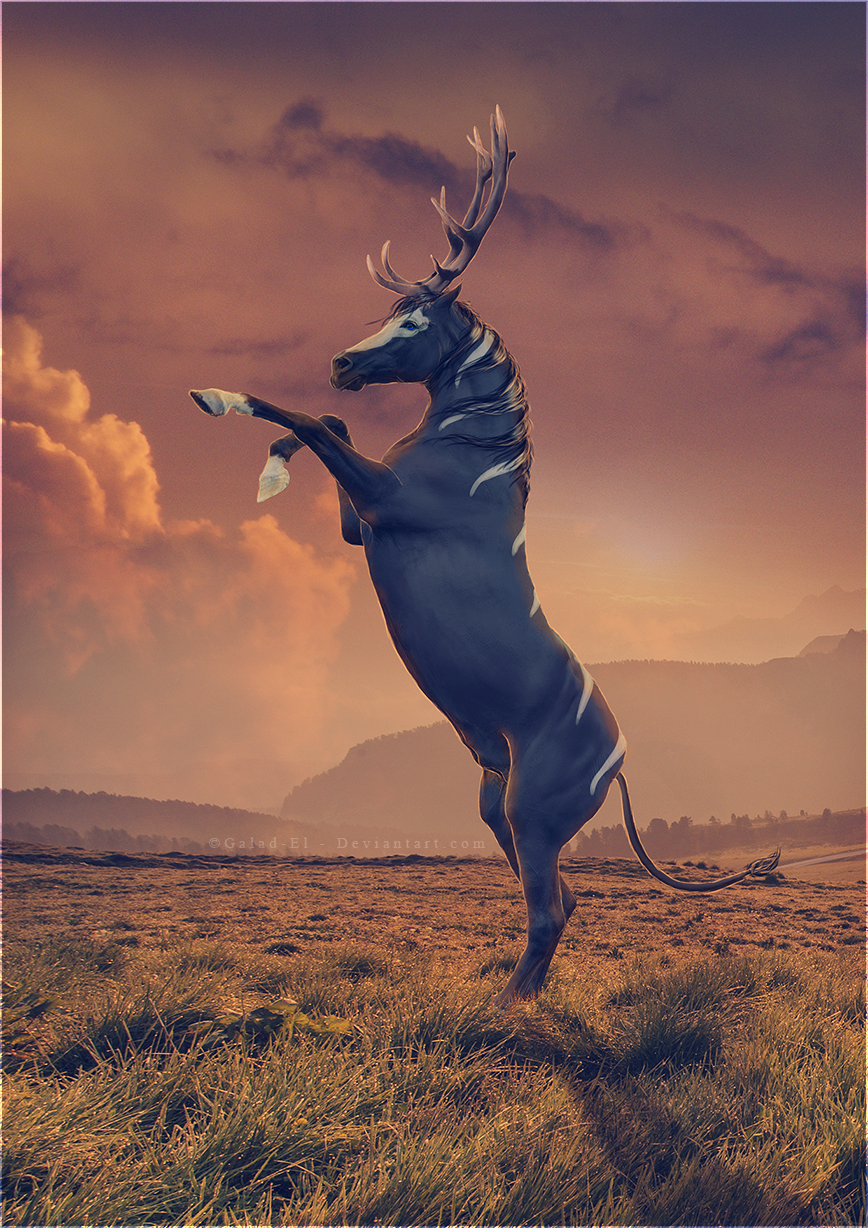 Au Royaume des Licornes..., par Galad-El