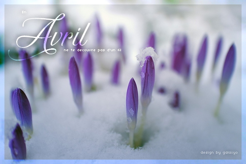 Avril, par Galaxyo