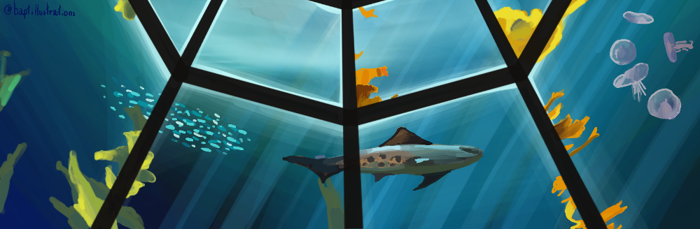 Rendu 1 commande Zukki - Aquarium, par CHAUSSETTE