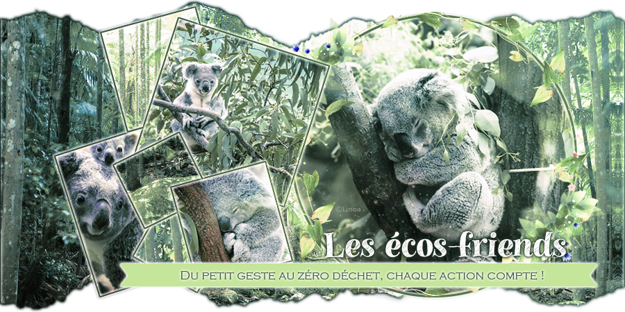 Bannière EF, par Linoa