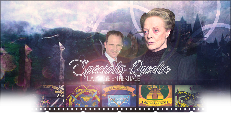 Bannière SR, par Linoa