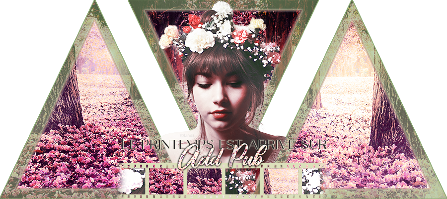 Bannière AP, par Linoa