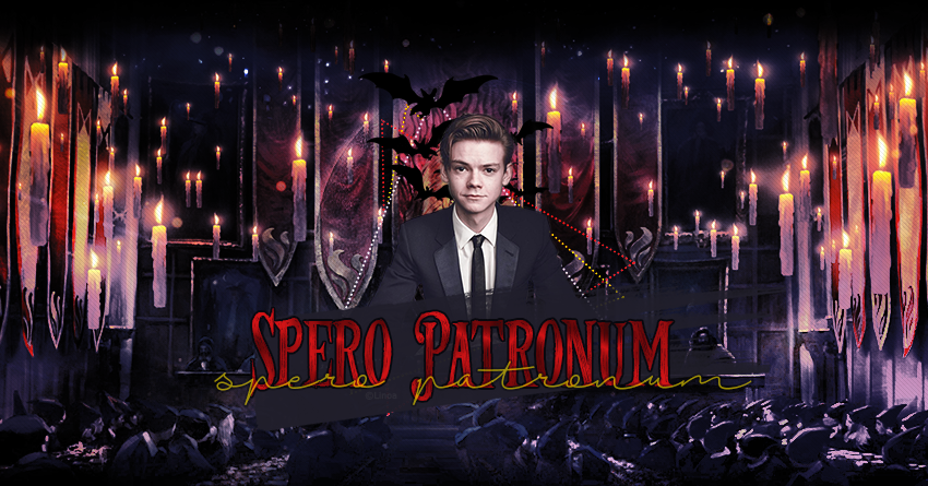 Bannière SP, par Linoa