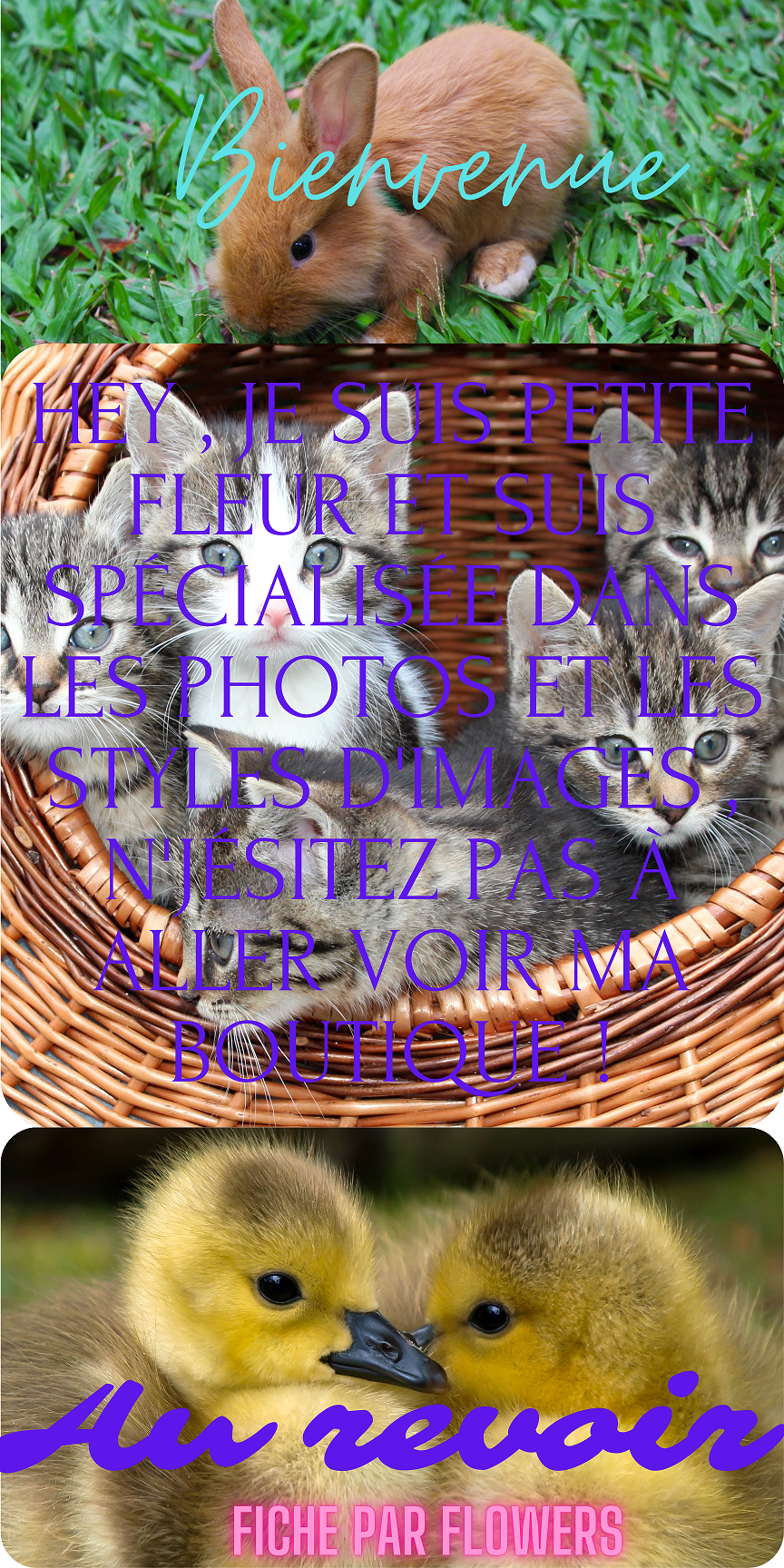 Commande Petite Fleur fiche, par Flowers