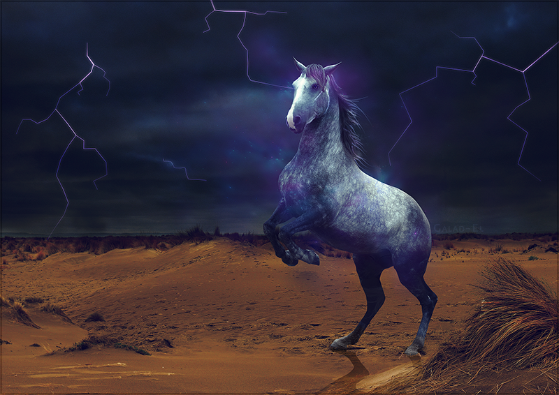 Bois d'Orage, par Galad-El