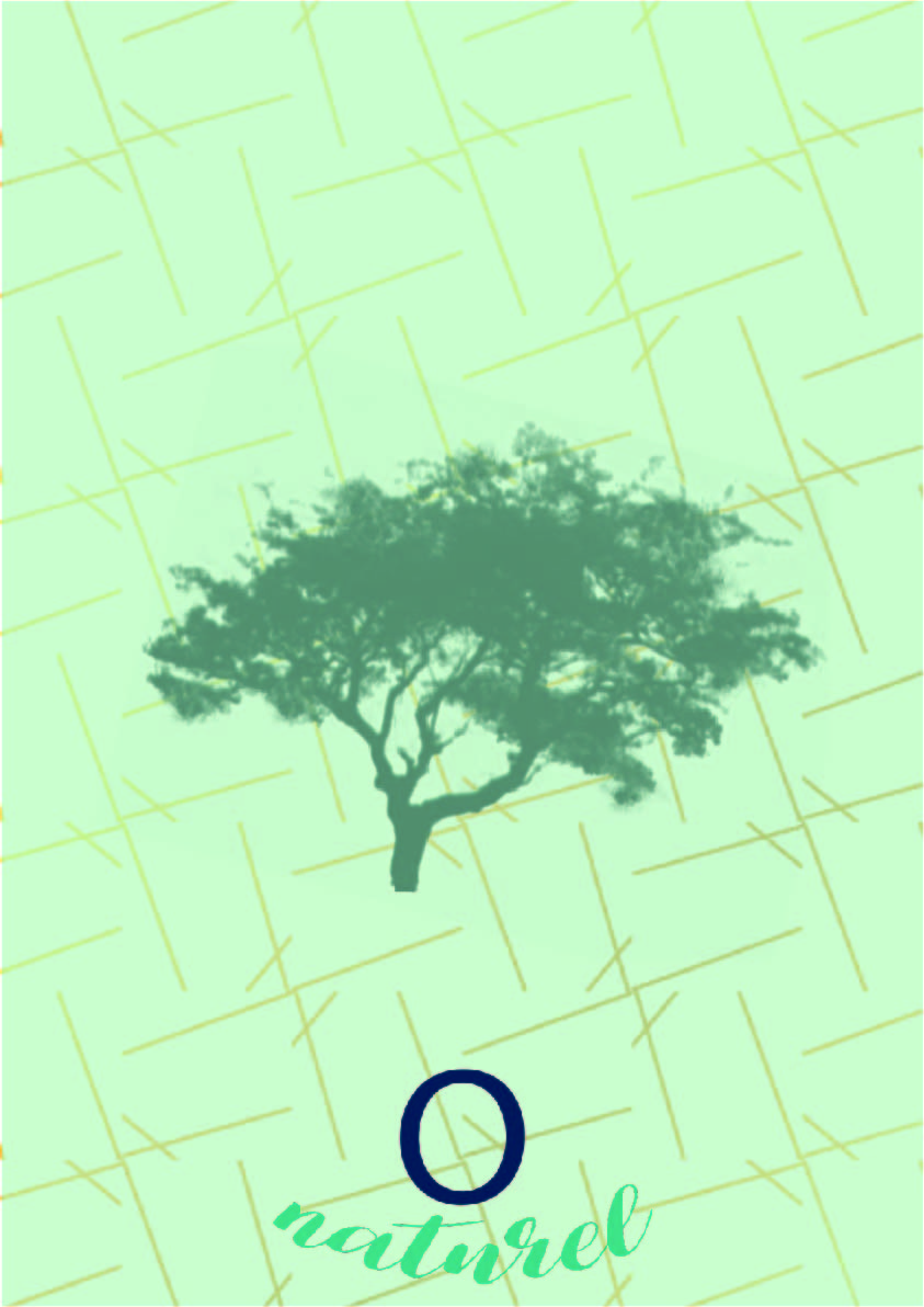 Creation d'un Brandbook 1.9, par AnarælXIII