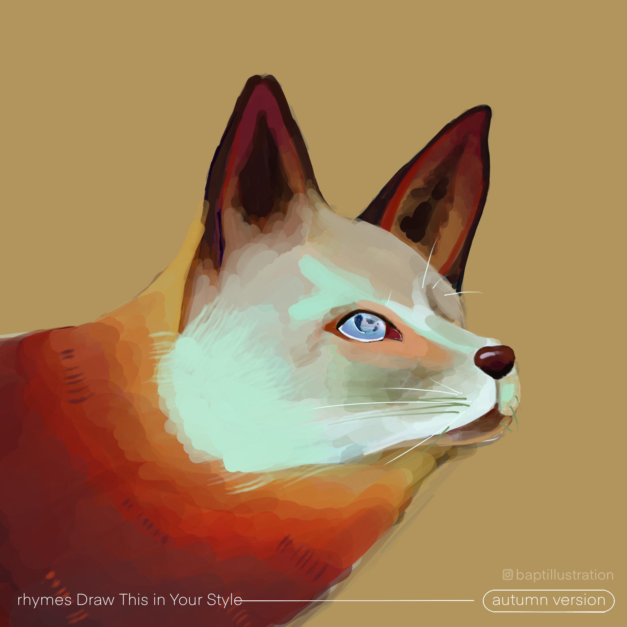 Rhymes DTIYS, par CHAUSSETTE